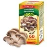 TEREZIA 100% OYSTER GRYBAS 60 KAPSULIŲ