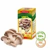TEREZIA 100% OYSTER GRYBAS 60 KAPSULIŲ