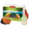 TEREZIA CHAGA IR REISHI GRYBAI SU ŠALTALANKIŲ ALIEJUMI
