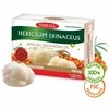 TEREZIA HERICIUM ERINACEUS GRYBAS SU ŠALTALANKIŲ ALIEJUMI 60 KAPSULIŲ