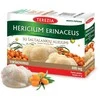 TEREZIA HERICIUM ERINACEUS GRYBAS SU ŠALTALANKIŲ ALIEJUMI 60 KAPSULIŲ