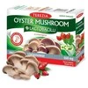 TEREZIA OYSTER GRYBAS SU ERŠKĖTUOGĖMIS 60 KAPSULIŲ