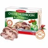 TEREZIA OYSTER GRYBAS SU ERŠKĖTUOGĖMIS 60 KAPSULIŲ