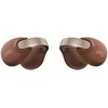 JVC, HA-NP1T-TU rudosos sp. dinaminės ausinės