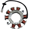 Briggs &amp; Stratton Įkrovimo ritė generatorius Briggs &amp; Stratton 591100 Originali prekė