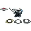 Briggs &amp; Stratton KARBIURATORIUS BRIGGS&amp;STRATTON 799882 Originali dalis