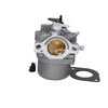 Briggs &amp; Stratton KARBIURATORIUS BRIGGS&amp;STRATTON 495706, 498027, 498231, 499161, 799728