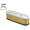 Briggs &amp; Stratton ORO FILTRAS BRIGGS&amp;STRATTON 10AG-12AG EVEREST