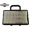 Briggs &amp; Stratton ORO FILTRAS BRIGGS&amp;STRATTON 2 CILINDRŲ NAUJO MODELIO Originali prekė