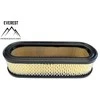 Briggs &amp; Stratton ORO FILTRAS BRIGGS&amp;STRATTON 16KM-18 AG BOXER 2CYL