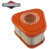 Briggs &amp; Stratton Oro filtras BRIGGS&amp;STRATTON Serija 850 Originali prekė