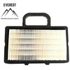 Briggs &amp; Stratton ORO FILTRAS BRIGGS&amp;STRATTON 2 CILINDRŲ NAUJO TIPO EVEREST
