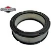 Briggs &amp; Stratton ORO FILTRAS BRIGGS&amp;STRATTON VANGUARD Originali prekė
