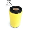 Briggs &amp; Stratton ORO FILTRAS BRIGGS&amp;STRATTON 793569 EVEREST
