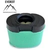 Briggs &amp; Stratton ORO FILTRAS BRIGGS&amp;STRATTON 2 VALCE OHV NAUJO MODELIO