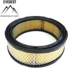 Briggs & Stratton ORO FILTRAS BRIGGS&amp;STRATTON VANGUARD 2 CYLINDERS EVEREST