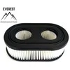 Briggs &amp; Stratton Oro filtras, Briggs &amp; Stratton Sprint serija (naujas modelis)