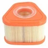 Briggs & Stratton ORO FILTRAS FILTER BRIGGS&amp;STRATTON SERIA 850