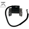Briggs &amp; Stratton UŽDEGIMO RITĖ BRIGGS&amp;STRATTON 3,5AG-4,5AG