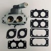 Briggs &amp; Stratton Karbiuratorius BRIGGS&amp;STRATTON INTEK V-TWIN