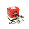 Briggs &amp; Stratton KARBIURATORIUS BRIGGS&amp;STRATTON PULSA PRIMA SERIA 600 QUANTUM Originali dalis
