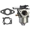 Briggs &amp; Stratton Karbiuratorius BRIGGS&amp;STRATTON SERIA 700, 750 DOV