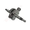 Tinkantis Stihl ALKŪNINIS VELENAS TINKANTIS MS231 MS251