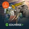 Avantis ClassVR portalas ir Eduverse+ 1 metų licencija