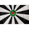 Tactic „Gamesson“ – turnyro leidimo smiginio lenta (111-4010)