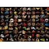 Ravensburger 1000 Puzzle Dėlionė: Stunning Animals