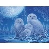 Ravensburger Dėlionė 500 vnt. - Pelėdos mėnulio šviesoje