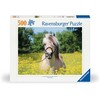 Ravensburger Dėlionė 500 vnt. - Arklys