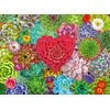 Ravensburger Dėlionė 500 vnt. - Sukulentas