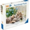 Ravensburger Dėlionė 500 vnt. - Žaismingas kačiukas