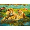Ravensburger Dėlionė 500 vnt. - Liūtų šeima