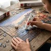 Dėlionė Dino Puzzle Conserver Glue