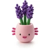 HEY CLAY modelino figūrėlės, 15 vnt.: Plant Folks