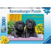 Ravensburger Dėlionė 300 vnt. - Šuniukai