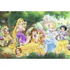 Ravensburger Dėlionė 2x24 vnt. - Princesių draugai