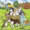 Ravensburger Dėlionė 3x49 vnt. - Mieli šunys ir katės