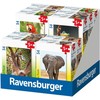 Dėlionė Ravensburger mini galvosūkis 54 vnt. egzotiški gyvūnai
