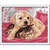 Ravensburger Paint by Numbers Blanket Friends
