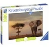 Ravensburger Dėlionė 1000 vnt. - Dramblys