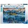 Ravensburger Dėlionė 2000 vnt. - Banginis