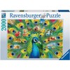 Ravensburger Dėlionė 2000 vnt. - Povo žemė