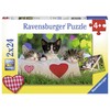 Ravensburger Dėlionė 2x24 vnt. - Katės