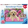 Ravensburger Dėlionė 2x24 vnt. - Šuniukai