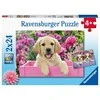 Ravensburger Dėlionė 2x24 vnt. - Šuniukai