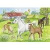 Ravensburger Dėlionė 2x24 vnt. - Arkliai