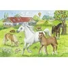Ravensburger Dėlionė 2x24 vnt. - Arkliai
